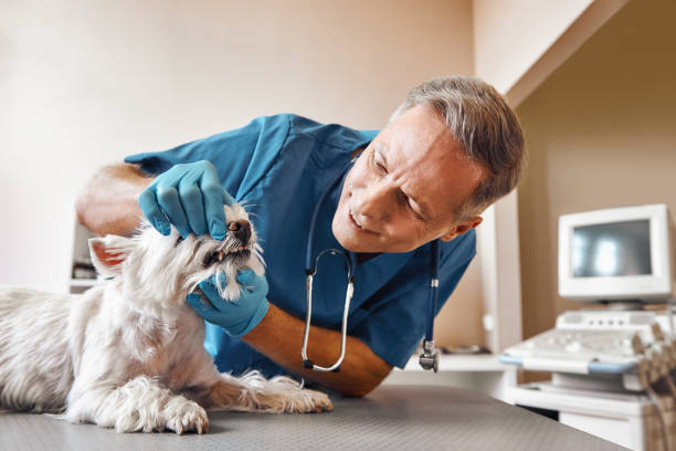 Best Emergency Tooth Extraction in Kill Devil Hills, NC